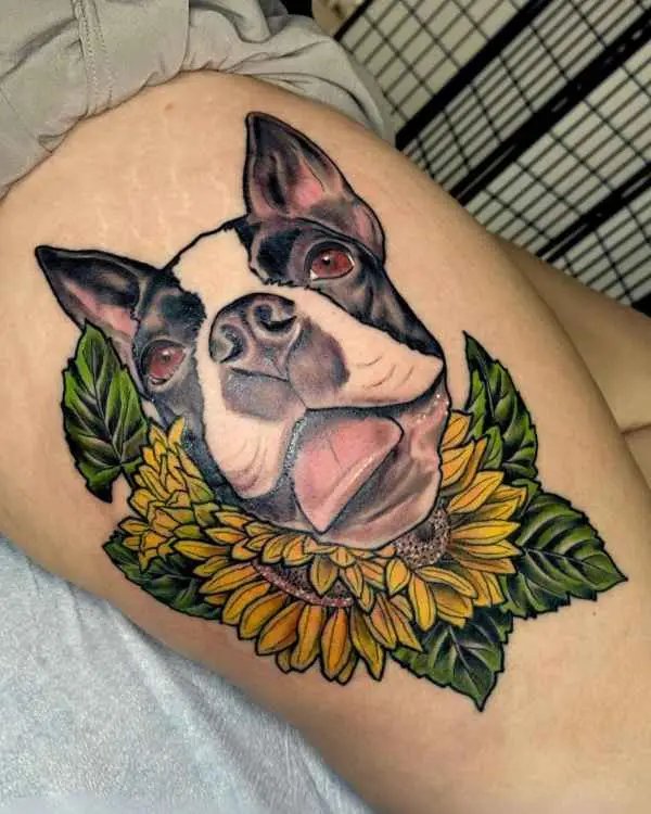 A color tattoo of a Boston Terrier emerging from a yellow sunflower, by Betty Rose