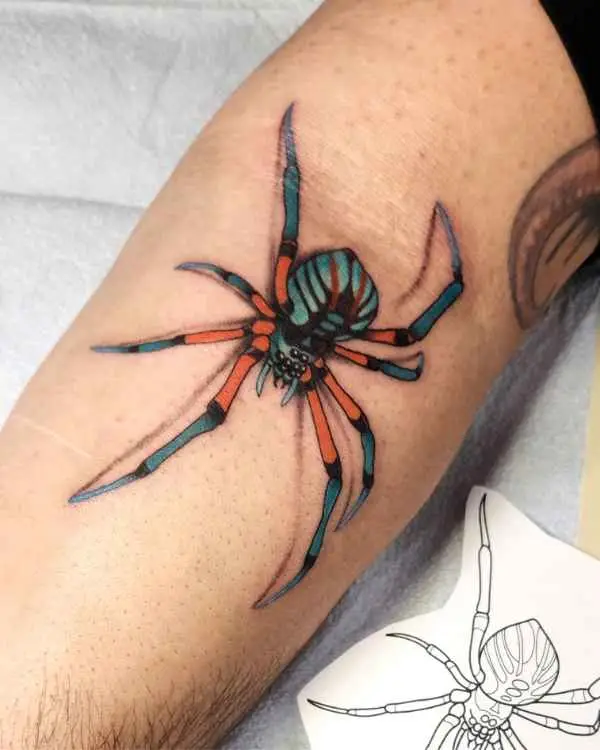 A color tattoo of a teal and orange striped spider, by Amanda Boyd